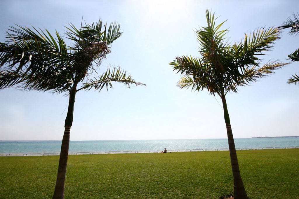 Quality Hotel Darwin Airport Fasiliteter bilde Palm trees at the beach